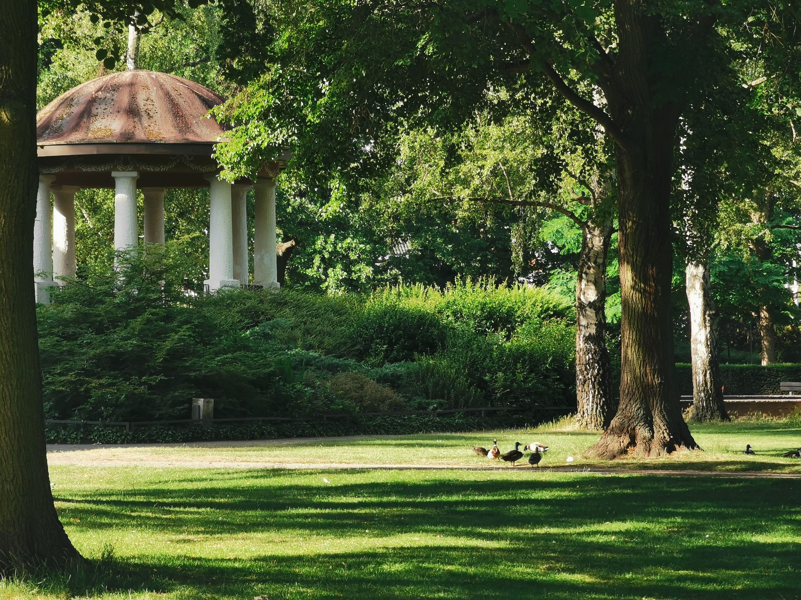 Peiner Stadtpark