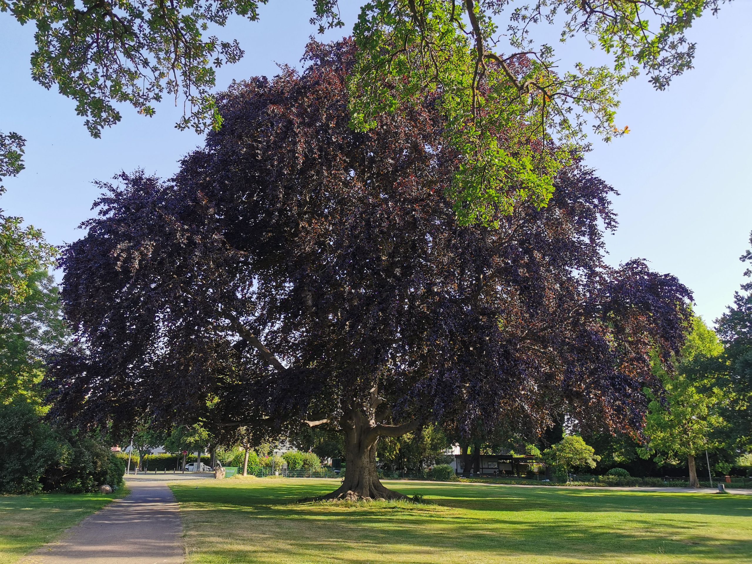 Peiner Stadtpark