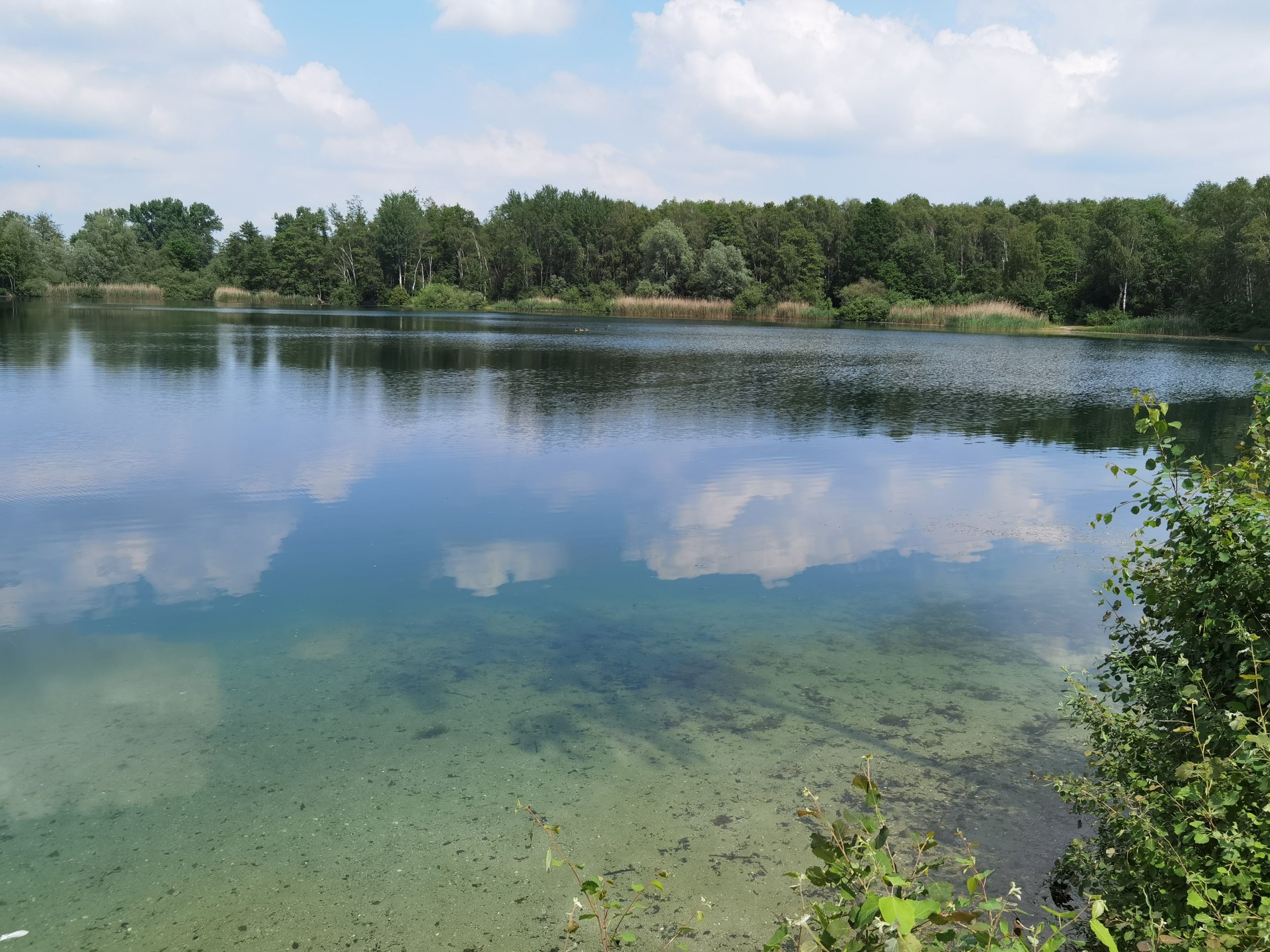 Wehnser See