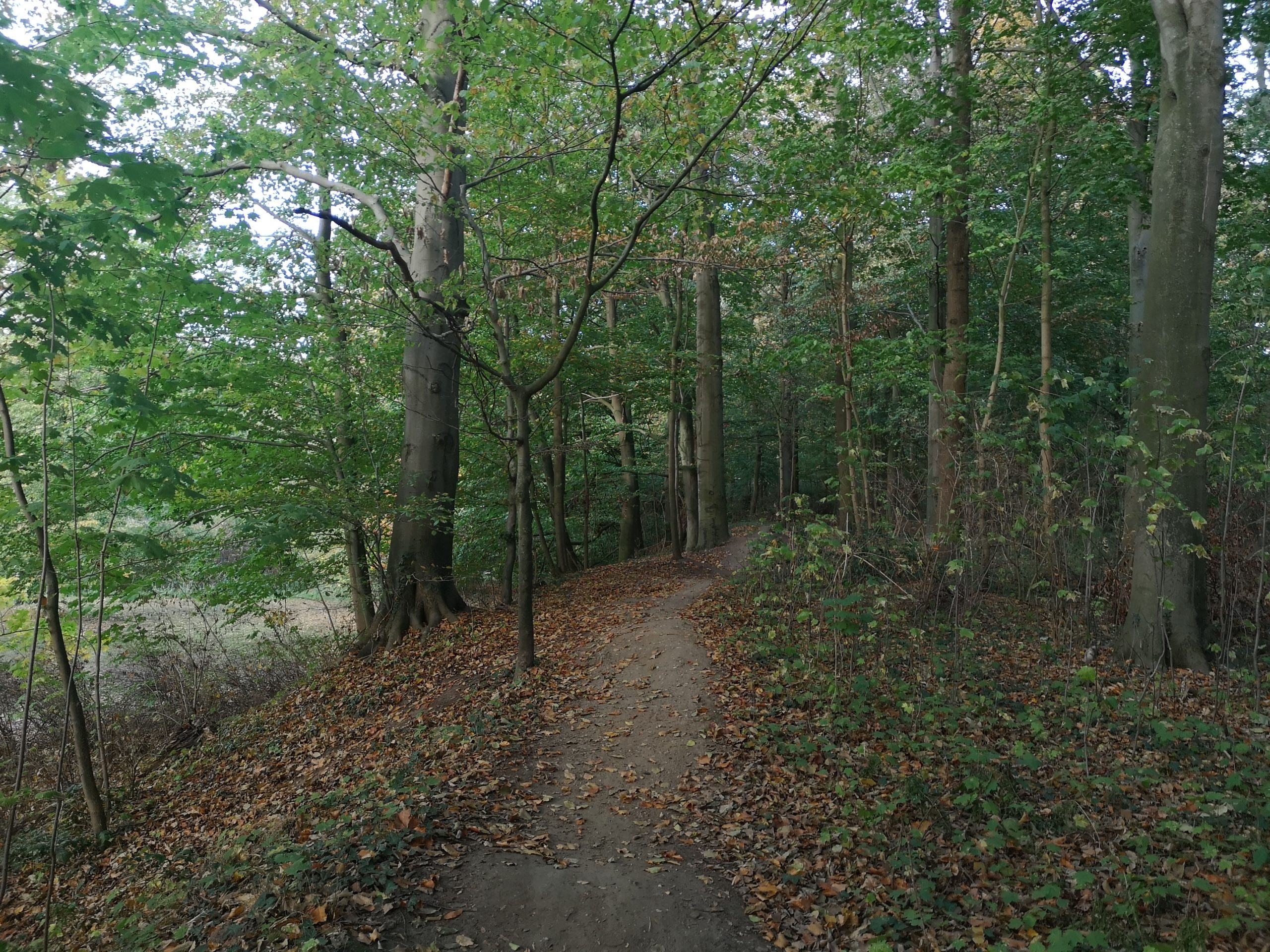 Der Peiner Herzberg